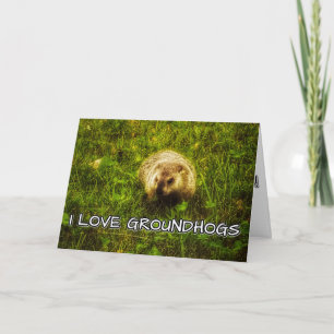 I love groundhogs greeting card