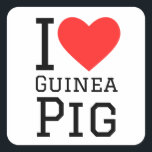 I love Guinea pig Square Sticker<br><div class="desc">I love Guinea pig ,  for animal kingdom lovers</div>