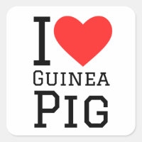 I love Guinea pig