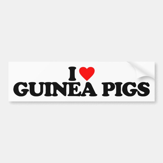 I LOVE GUINEA PIGS BUMPER STICKER (Front)