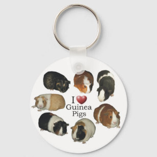 I Love Guinea Pigs - Keychain