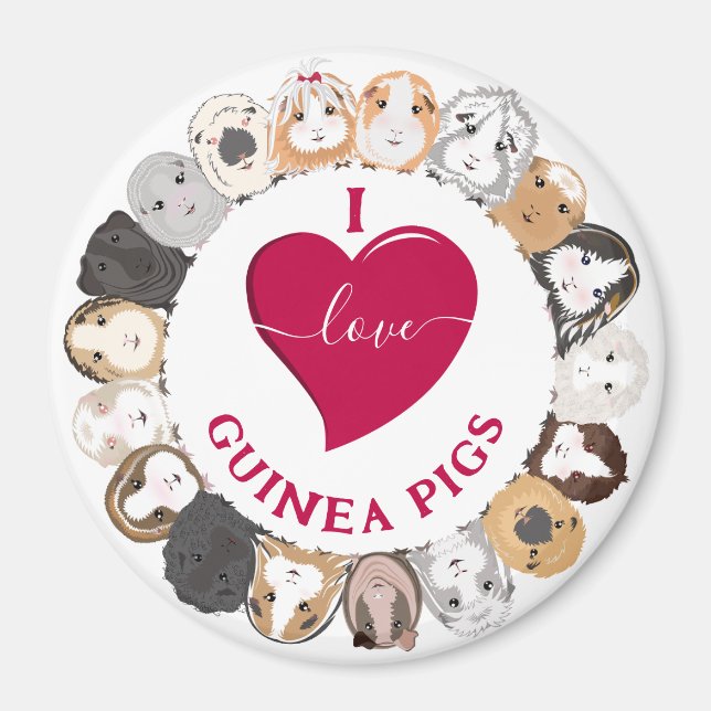 I Love Guinea Pigs Magnet (Front)
