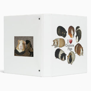 I Love Guinea Pigs Notebook Binder