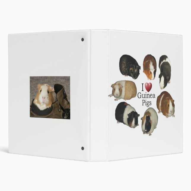 I Love Guinea Pigs Notebook Binder (Background)