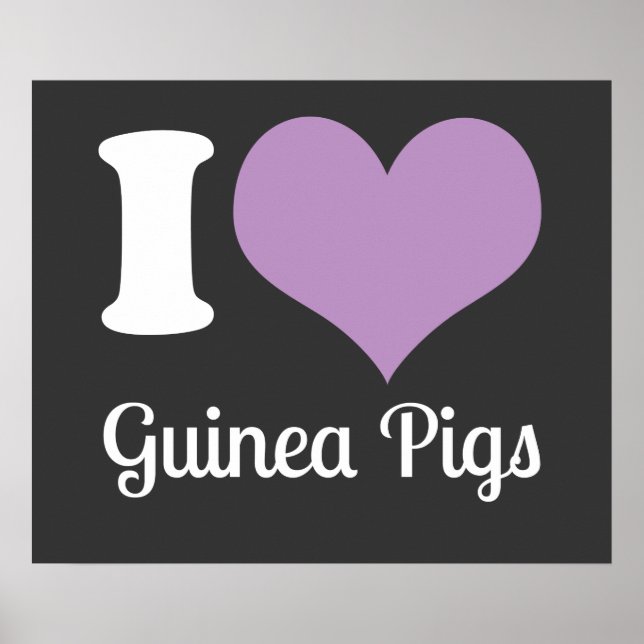 I Love Guinea Pigs Poster (Front)
