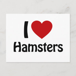 I love Hamsters Postcard