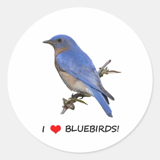 I Love (heart) Bluebirds Classic Round Sticker (Front)