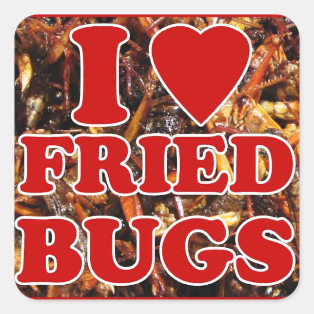 I Love (Heart) Fried Bugs / Edible Insects Square Sticker (Front)