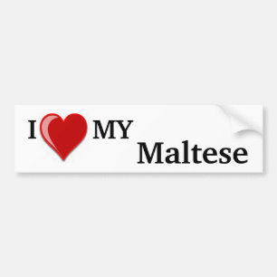 I Love (Heart) My Maltese Dog Bumper Sticker