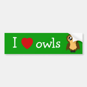 I Love/Heart Owls Cute Scruffy Owl Bumper Sticker