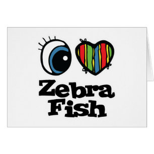 I Love (Heart) Zebrafish