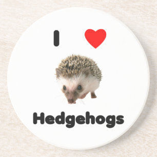 I love hedgehogs coaster