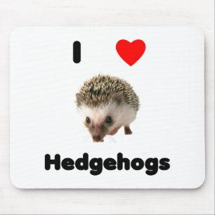 I love hedgehogs Mousepad