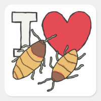 I Love Hissing Cockroaches
