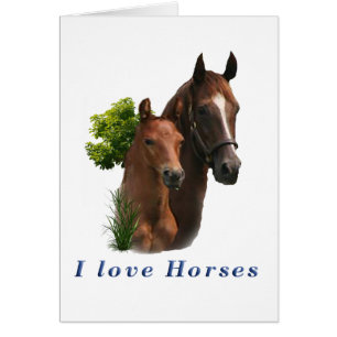 I love horses