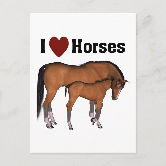 I Love Horses Postcard (Front)