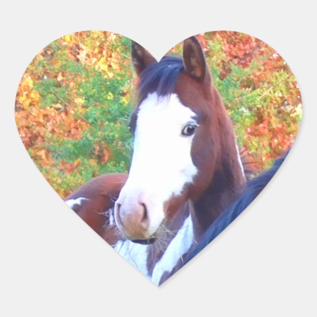 I Love Horses Stickers Coeur (Devant)