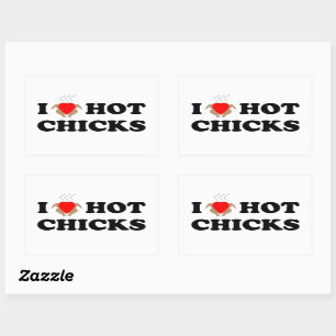 I Love Hot Chicks   Funny Sticker Set