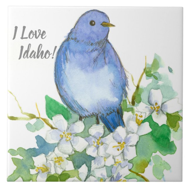 I Love Idaho Bluebird Syringa Wildflower Tile (Front)
