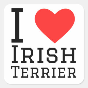 I love Irish terrier  Square Sticker