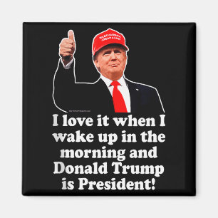 I Love It When Donald Trump Is President 2024 47th Magnet
