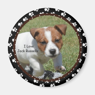 I love Jack Russells Magnet