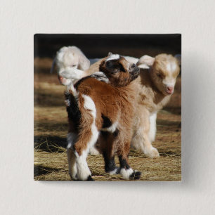 I Love Kids 2 Inch Square Button