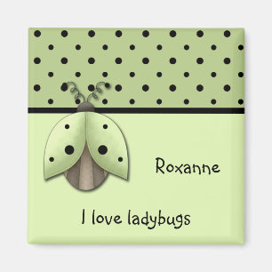 I Love Ladybugs Magnet