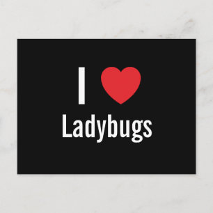 I love Ladybugs Postcard