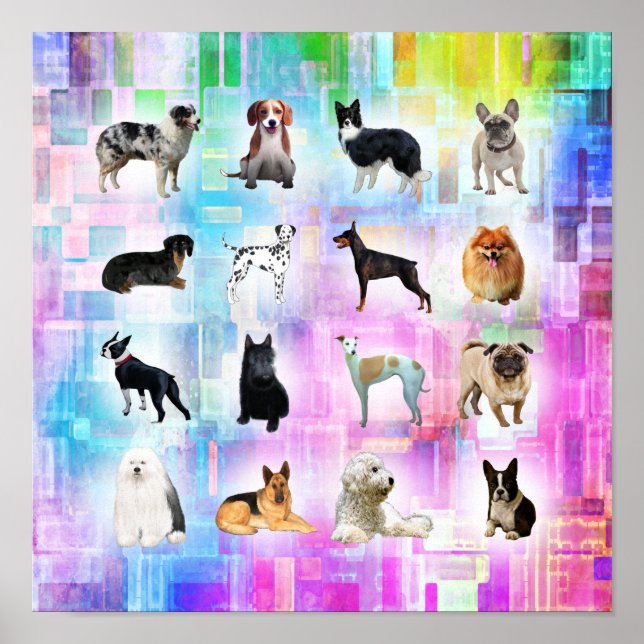 I Love Lots of Dogs Poster (Front)
