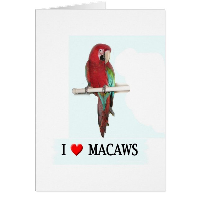 I love Macaws (Front)