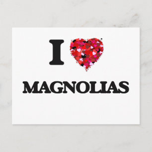 I Love Magnolias Postcard