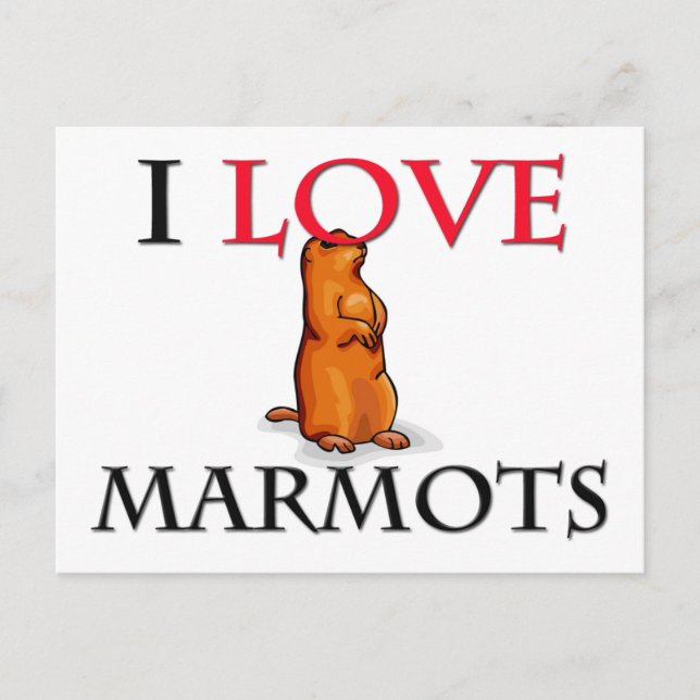 I Love Marmots Postcard (Front)