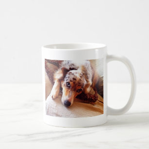 I Love Mini Aussie!  Sweet Starr! Coffee Mug