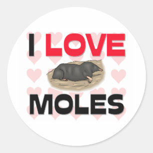 I Love Moles Classic Round Sticker