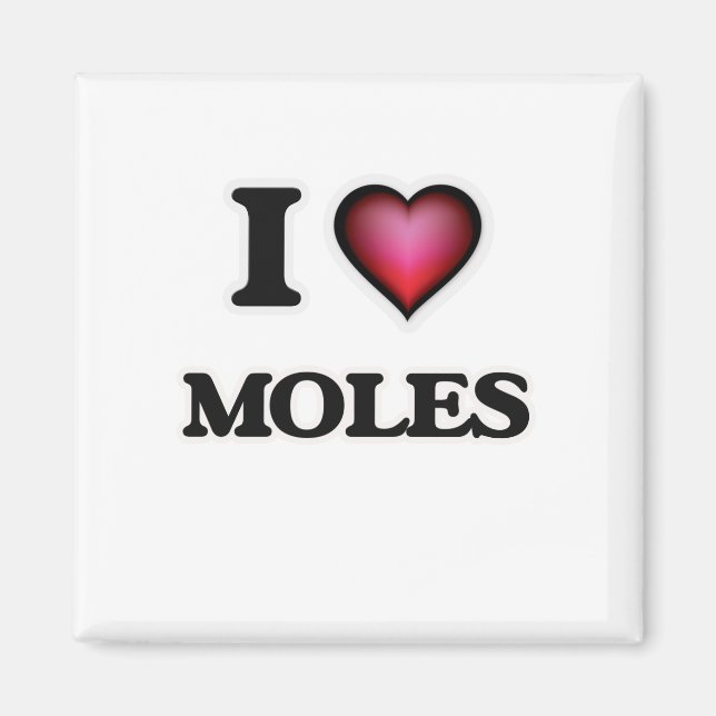 I Love Moles Magnet (Front)