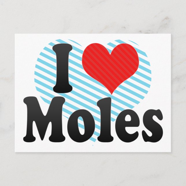 I Love Moles Postcard (Front)