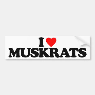 I LOVE MUSKRATS BUMPER STICKER
