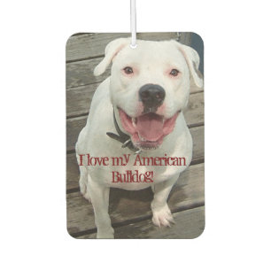 I love my American Bulldog! Car Air Freshener