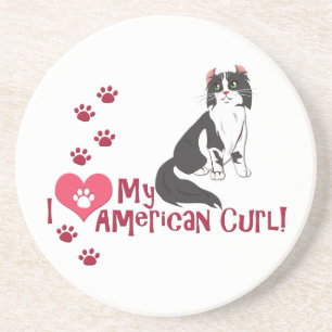 I Love My American Curl! Coaster