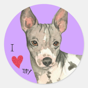 I Love my American Hairless Terrier Classic Round Sticker