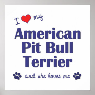 I Love My American Pit Bull Terrier (Female Dog) Poster