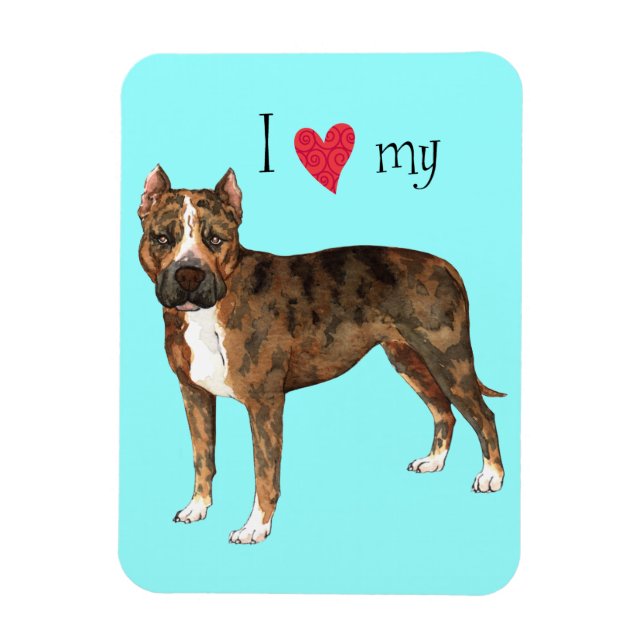 I Love my American Staffordshire Terrier Magnet (Vertical)