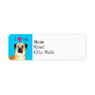 I Love my Anatolian Shepherd