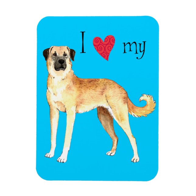 I Love my Anatolian Shepherd Magnet (Vertical)