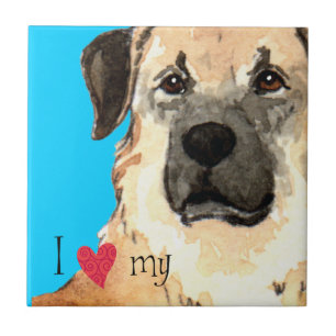 I Love my Anatolian Shepherd Tile