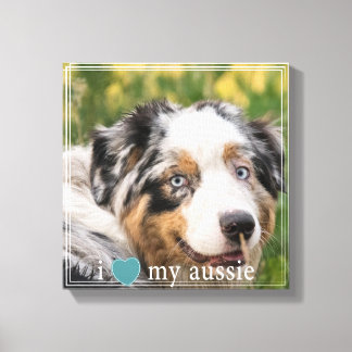 I love my Aussie Australian Shepherd White Border Canvas Print
