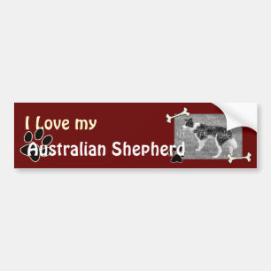 I love my Australian Shepherd Bumper Sticker