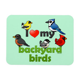 I Love My Backyard Birds Magnet