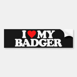 I LOVE MY BADGER BUMPER STICKER